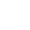 toreiarts